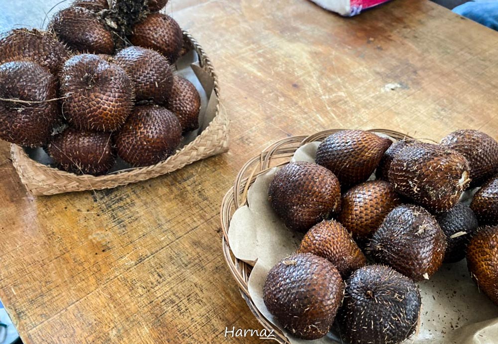 Kuliah Salak Di Sibetan Bali Bagian Satu Salak Tiga Duri